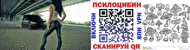 купить наркотик  MEGA маркетплейс  Псилоцибиновые грибы Psilocybine cubensis  Рошаль 